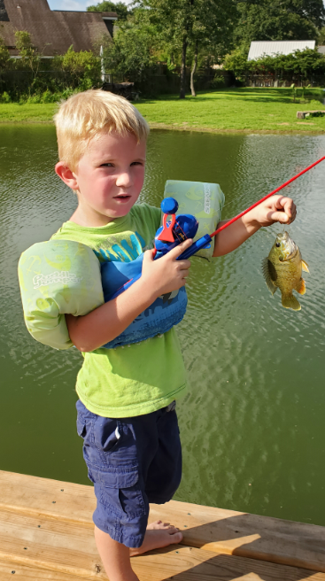 Attached picture 4mo Bluegill.png